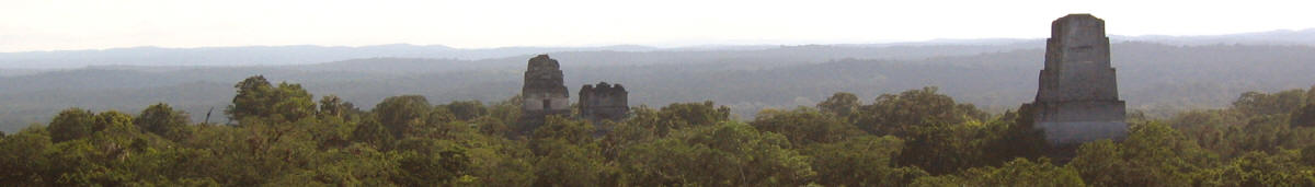 Tikal im Dschungel von Guatemala