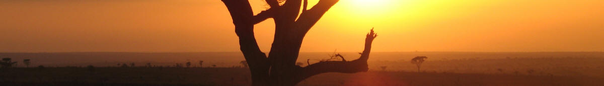 Serengeti Nationalpark