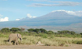Portal Tansania mit Kibo, dem höchsten Berg Afrikas